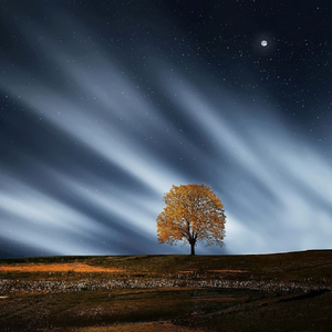 丰满少妇乱孑伦精品无码专区
