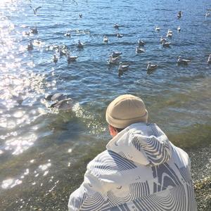 丰满少妇乱孑伦精品无码专区
