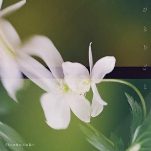 丰满少妇乱孑伦精品无码专区
